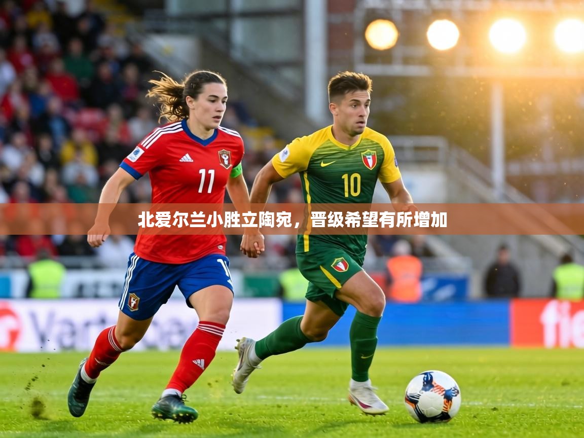 北爱尔兰小胜立陶宛,晋级希望有所增加 第2张