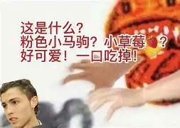 摩洛哥瓦赫达多点开花，备战进攻火力爆发
